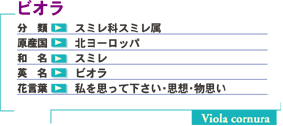�r�I������